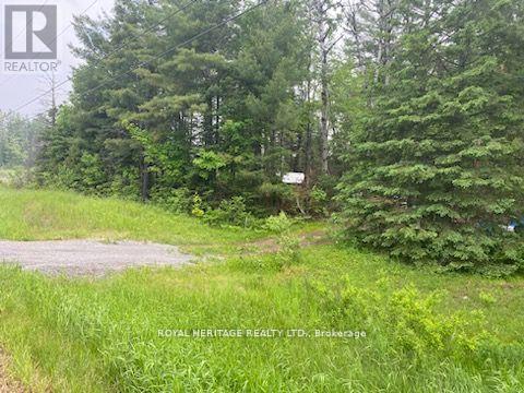 17556 Highway 62 Property Photo 6