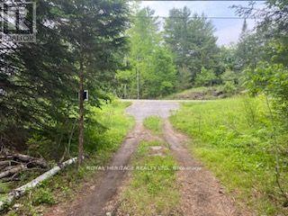 17556 Highway 62 Property Photo 7
