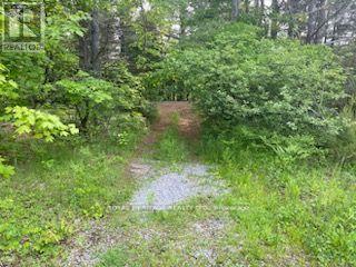 17556 Highway 62 Property Photo 8