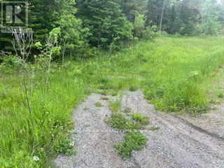 17556 Highway 62 Property Photo 10