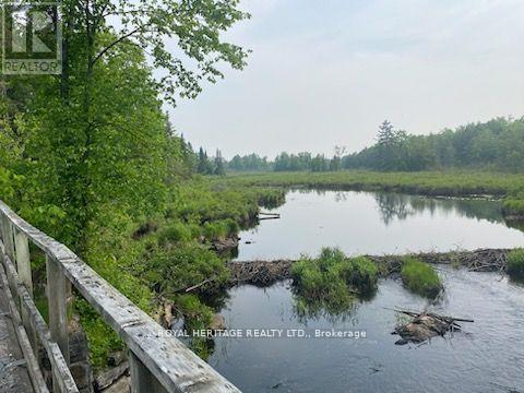 17556 Highway 62 Property Photo 13