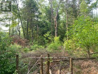 17556 Highway 62 Property Photo 14