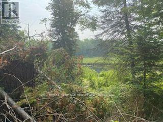 17556 Highway 62 Property Photo 15