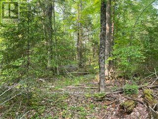 17556 Highway 62 Property Photo 17