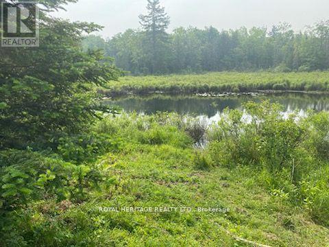 17556 Highway 62 Property Photo 18