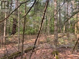 17556 Highway 62 Property Photo 20