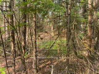 17556 Highway 62 Property Photo 21