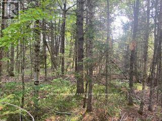 17556 Highway 62 Property Photo 22