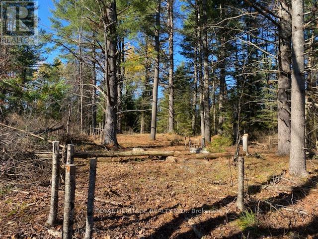 17556 Highway 62 Property Photo 27