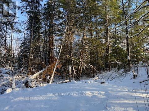 17556 Highway 62 Property Photo 30