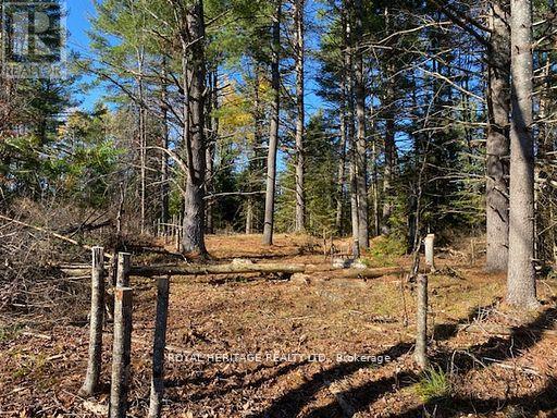 17556 Highway 62 Property Photo 31