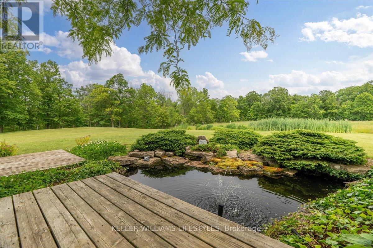 25728 Mcmurchy Line Property Photo 26