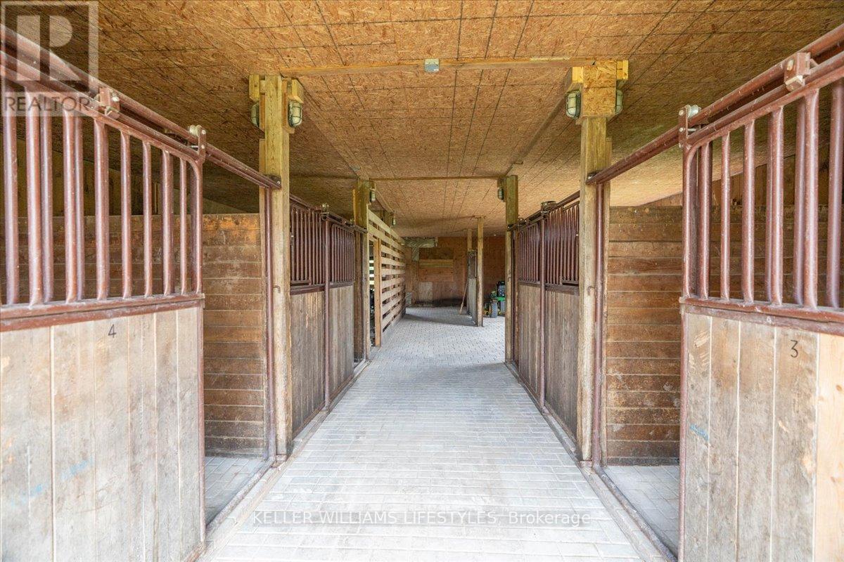 25728 Mcmurchy Line Property Photo 31