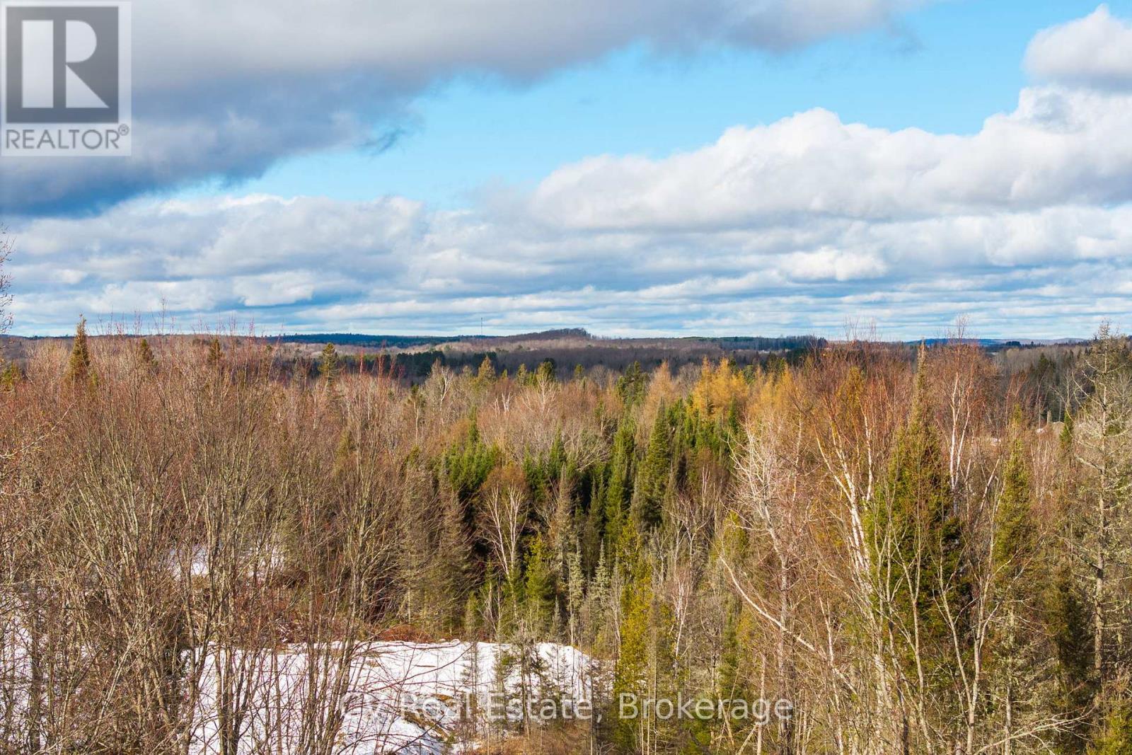133 Berriedale Road Property Photo 34