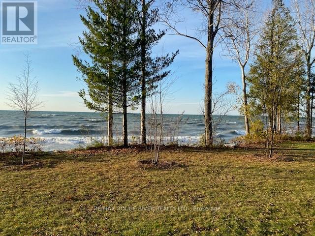 207 Suzanne Mess Boulevard Property Photo 7
