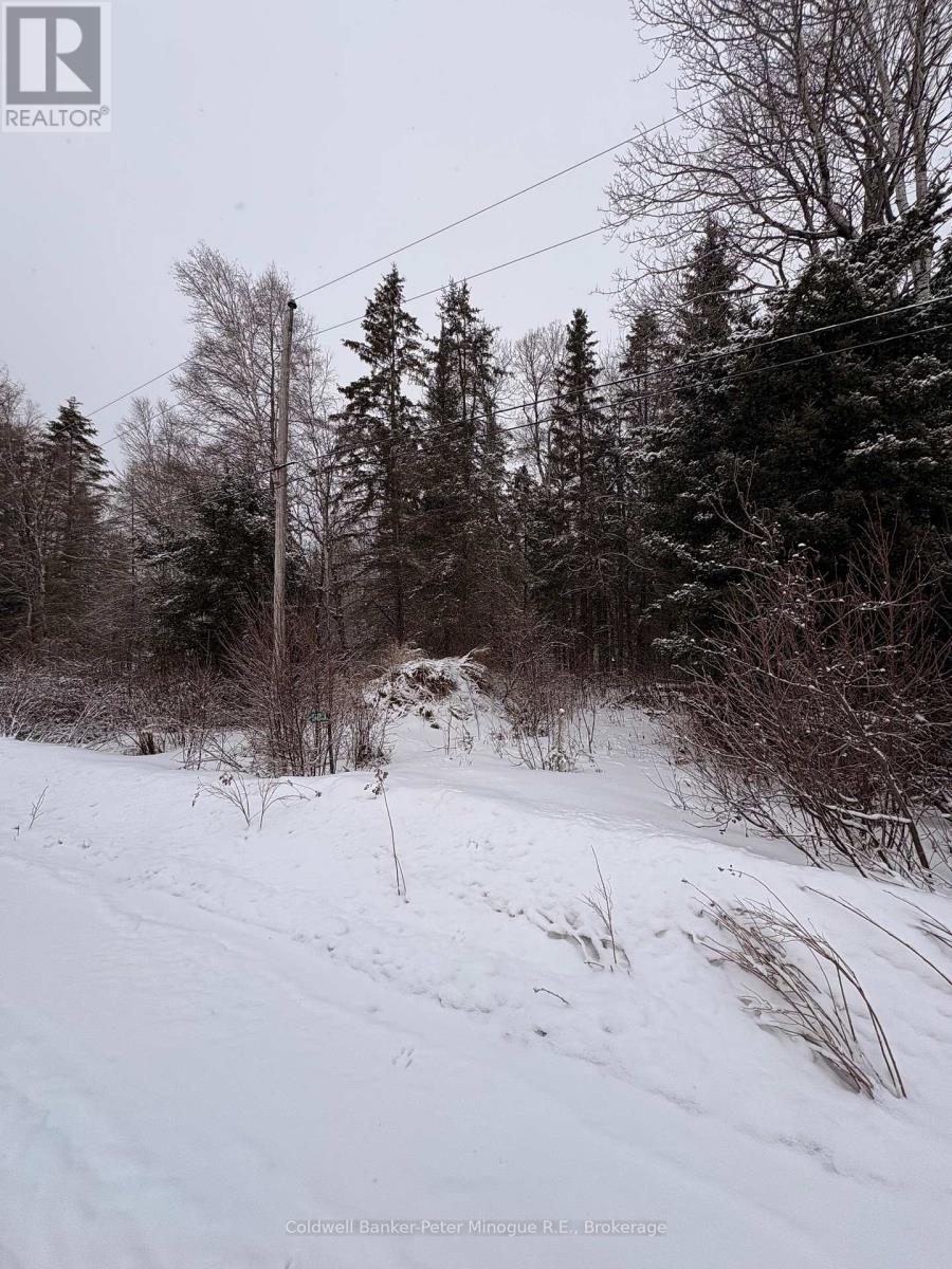 508 Sweezey Street Property Photo 3