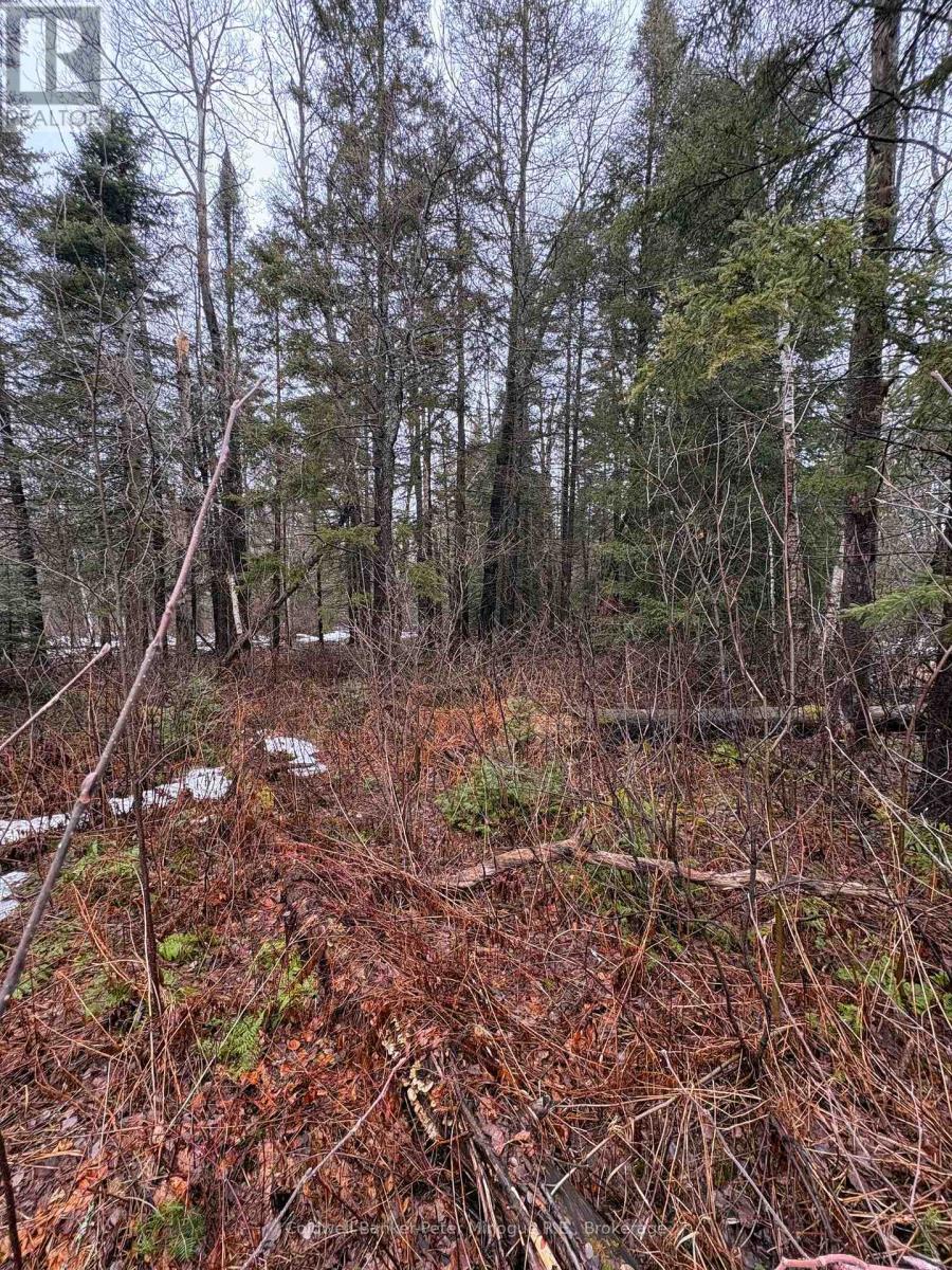 508 Sweezey Street Property Photo 8