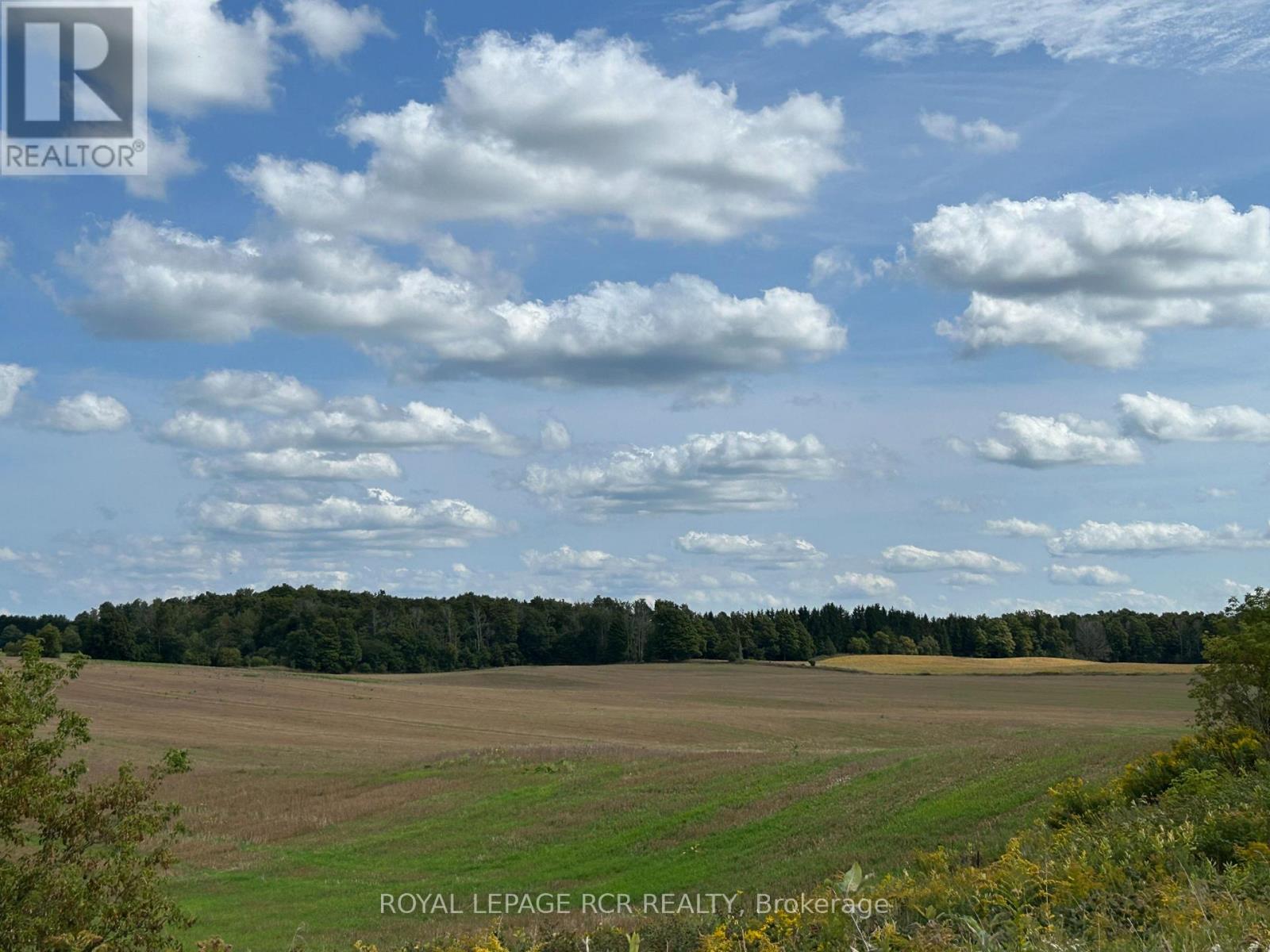 Ptlt 29 2nd Line Property Photo 2