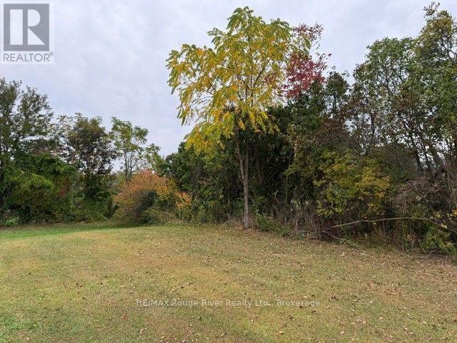 9 Cedar Street Property Photo 41