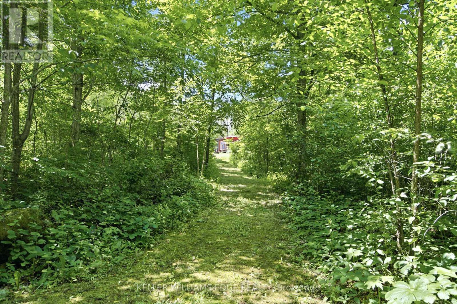 484 11th Concession Road E Property Photo 46