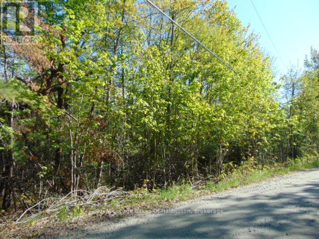 Lot 11 Plan 580 North Drive Property Photo 1