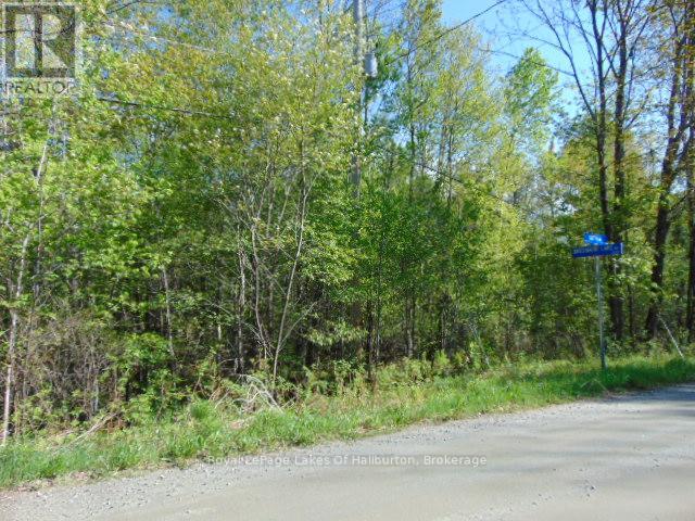 Lot 11 Plan 580 North Drive Property Photo 2