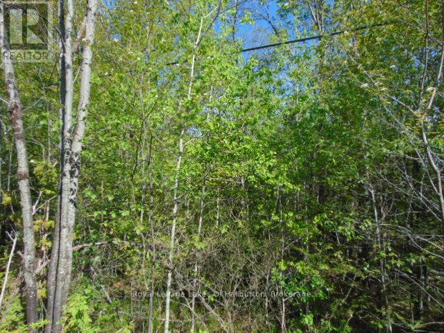 Lot 11 Plan 580 North Drive Property Photo 4