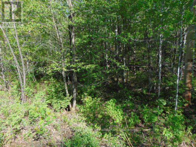 Lot 11 Plan 580 North Drive Property Photo 5