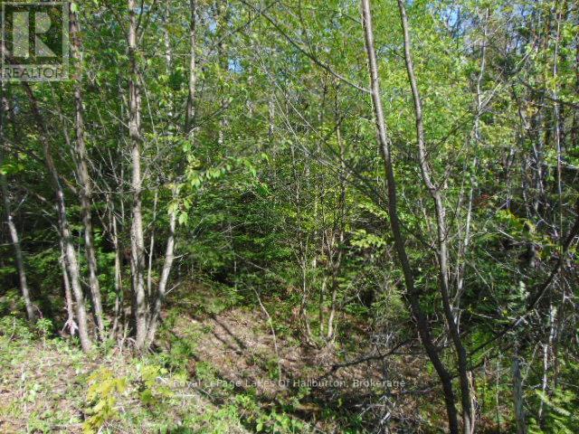 Lot 11 Plan 580 North Drive Property Photo 6