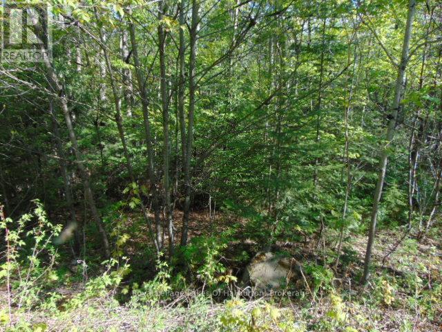 Lot 11 Plan 580 North Drive Property Photo 7