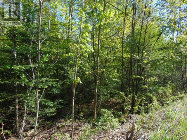 Lot 11 Plan 580 North Drive Property Photo 8