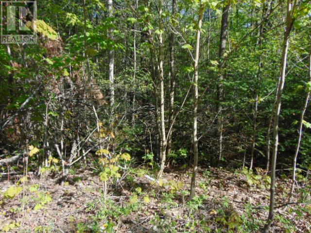Lot 11 Plan 580 North Drive Property Photo 9