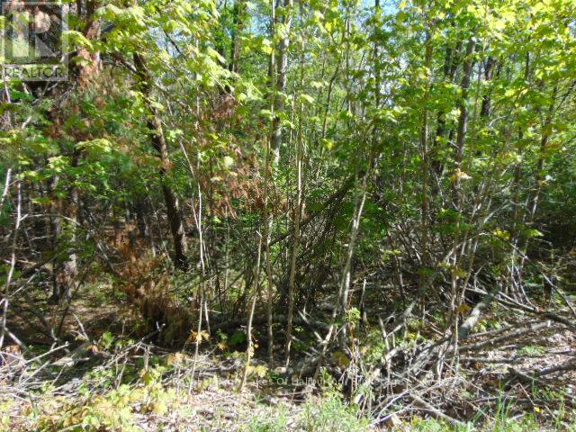 Lot 11 Plan 580 North Drive Property Photo 10