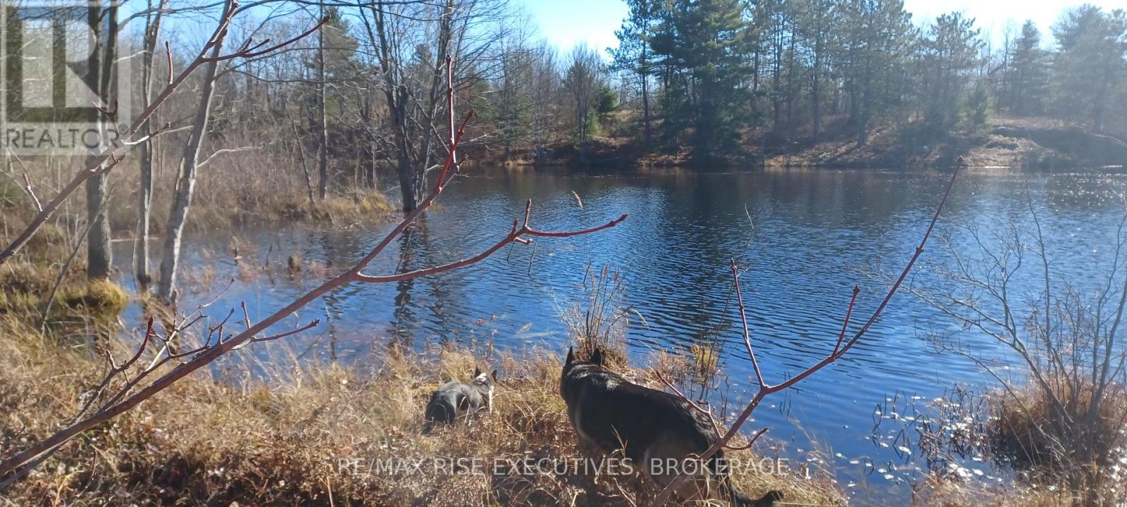 Kaladar Con 9 Lt 21 Property Photo 3
