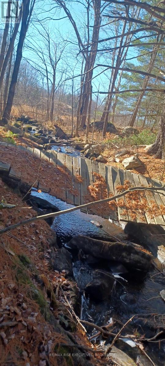 Kaladar Con 9 Lt 21 Property Photo 10
