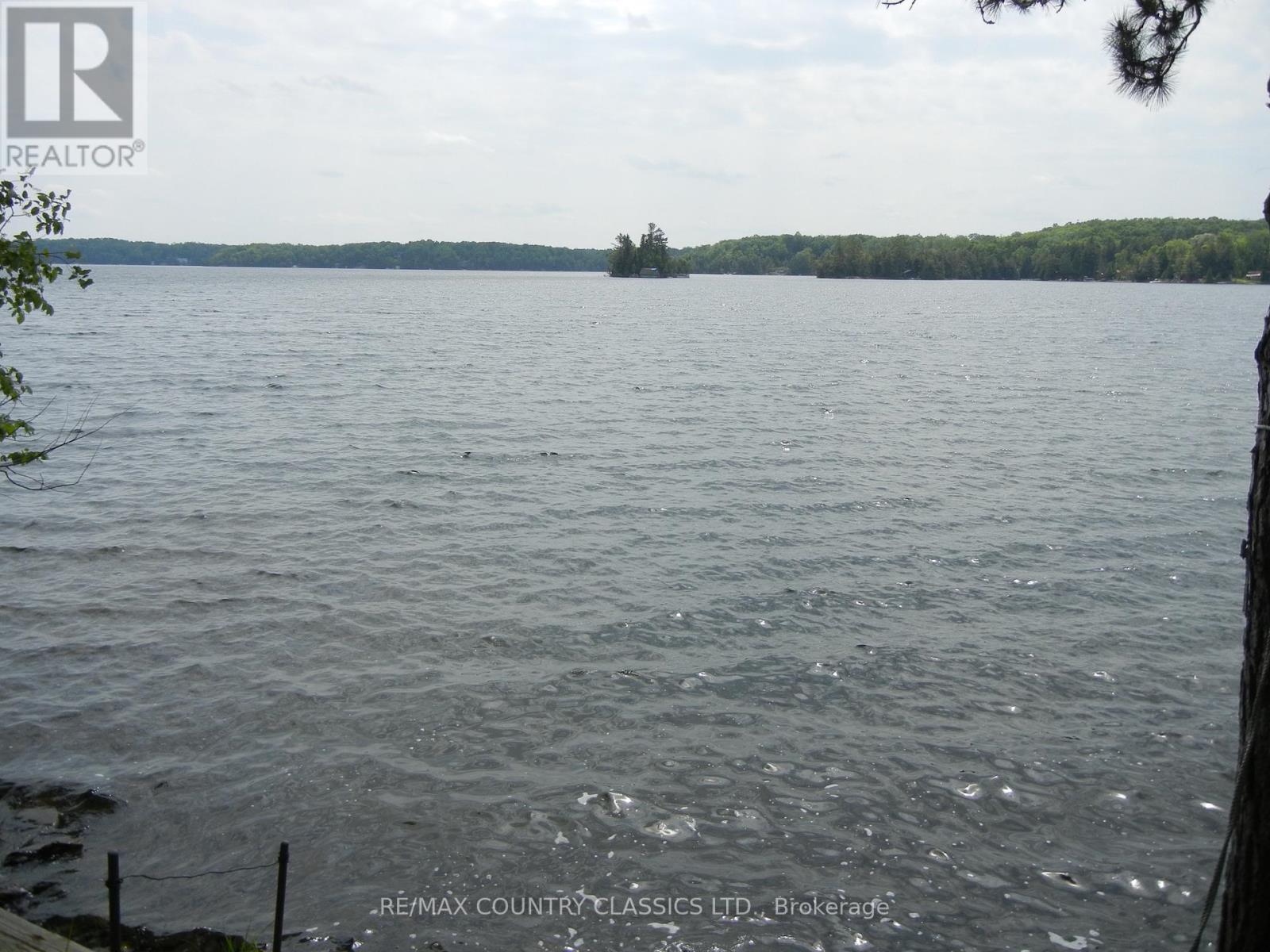 316 Trotter-oitment Road Property Photo 7