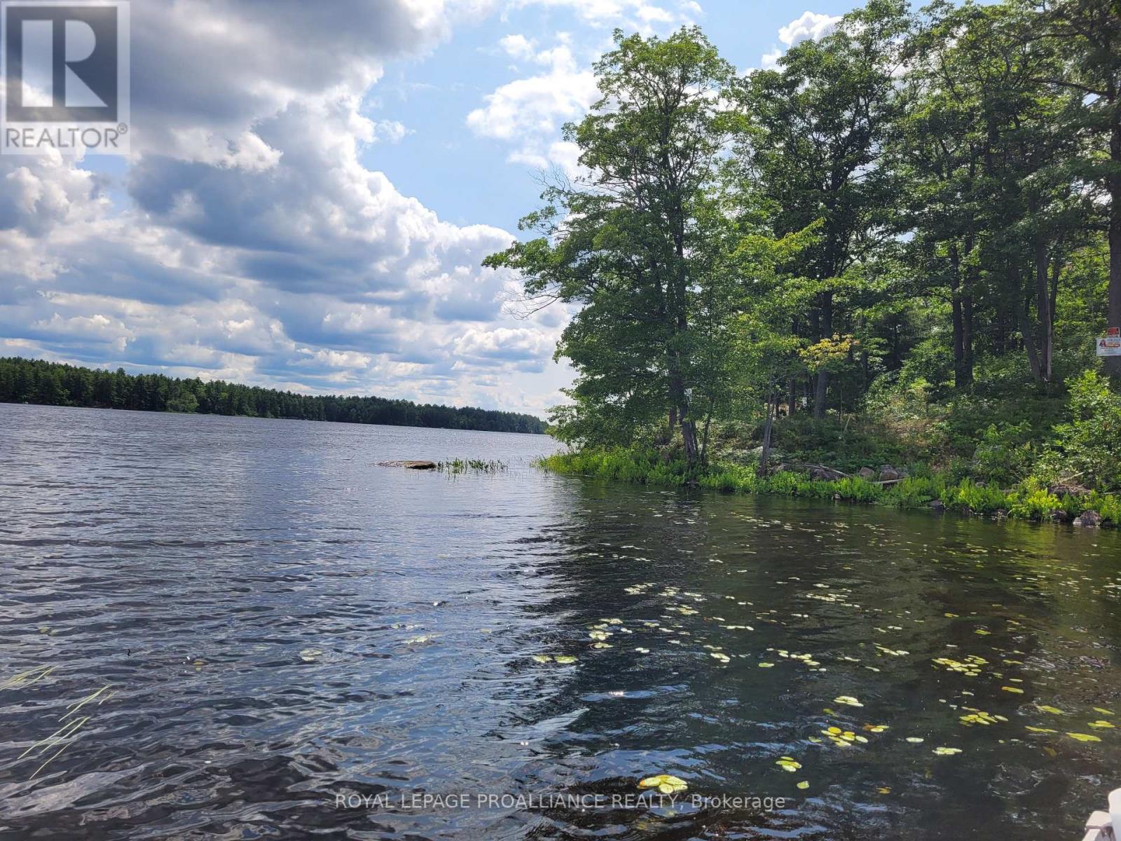 0 Kennebec Lake Lane Property Photo 8