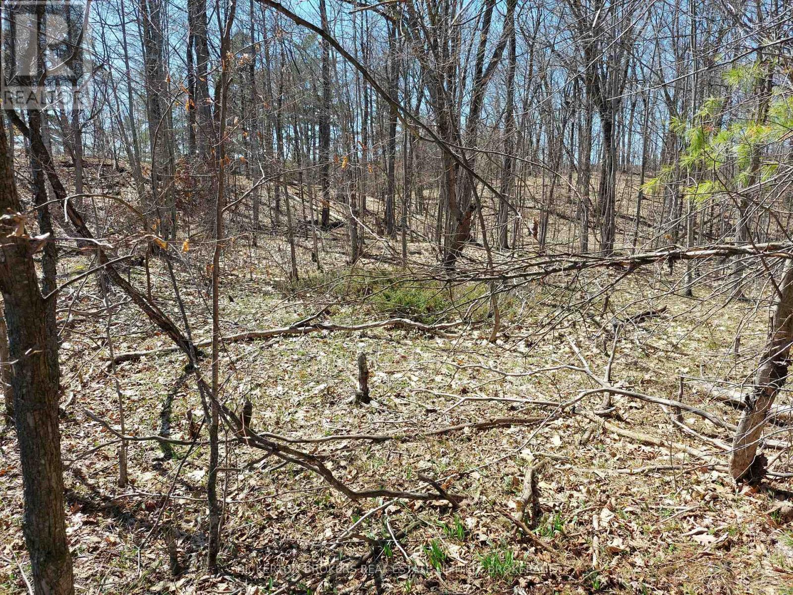 0 Murphy's Island Property Photo 10