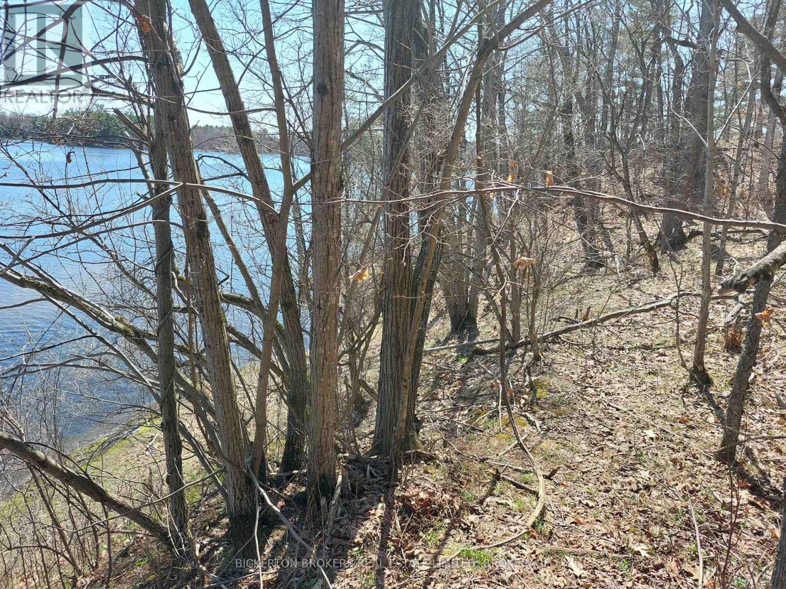 0 Murphy's Island Property Photo 11