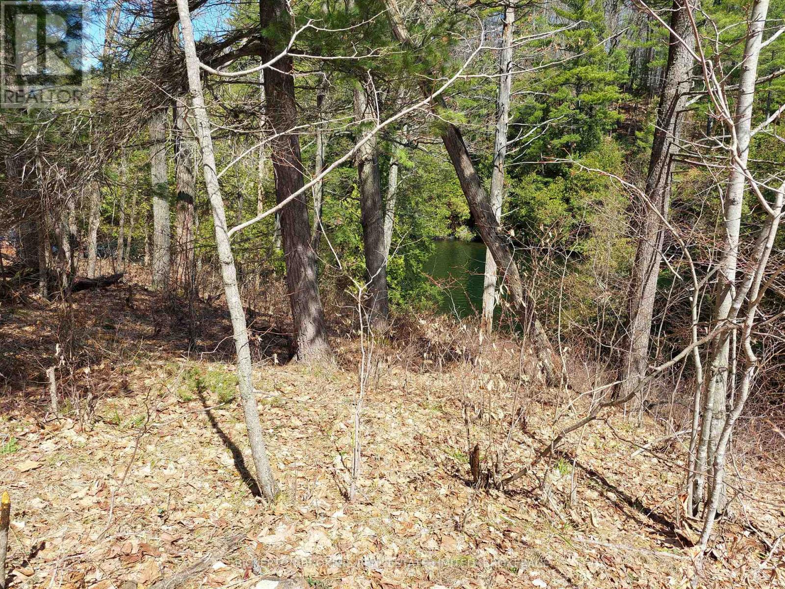 0 Murphy's Island Property Photo 14
