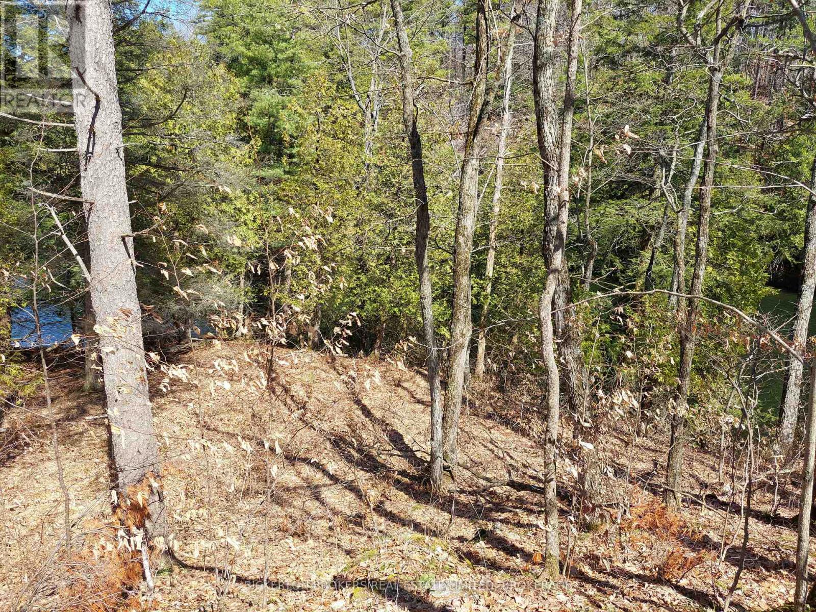 0 Murphy's Island Property Photo 15