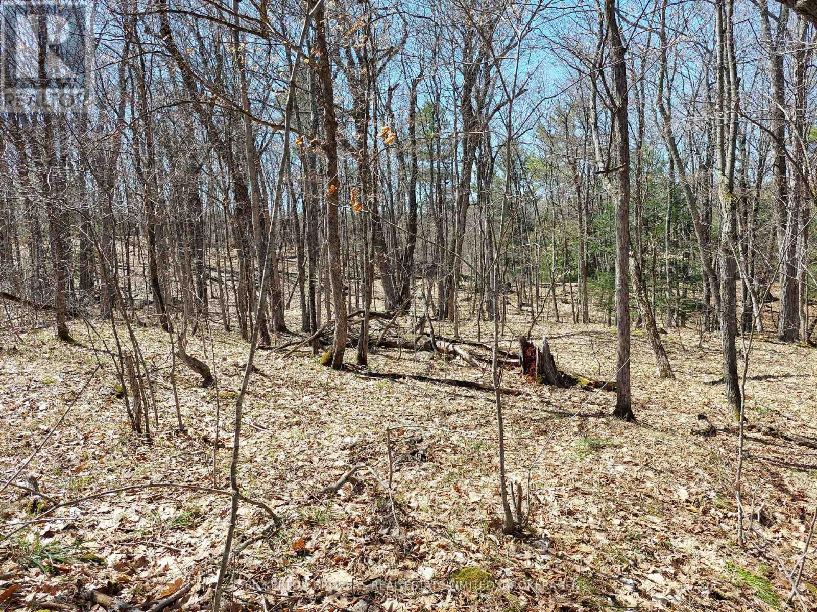 0 Murphy's Island Property Photo 17