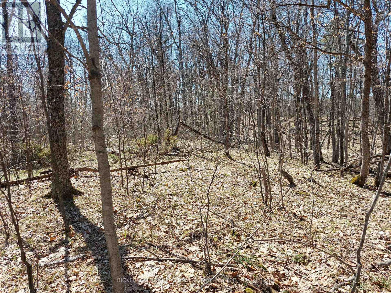 0 Murphy's Island Property Photo 18
