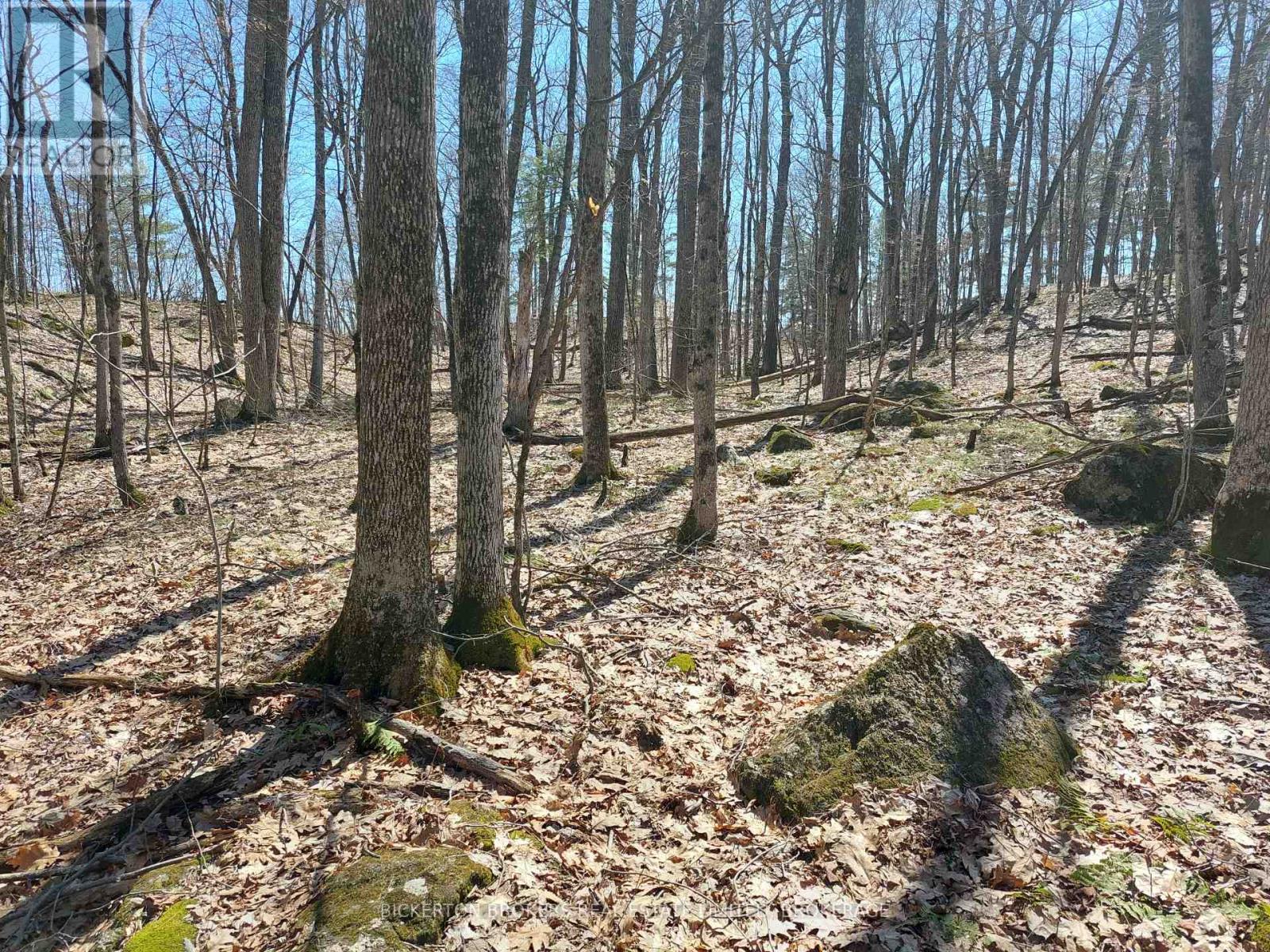 0 Murphy's Island Property Photo 19