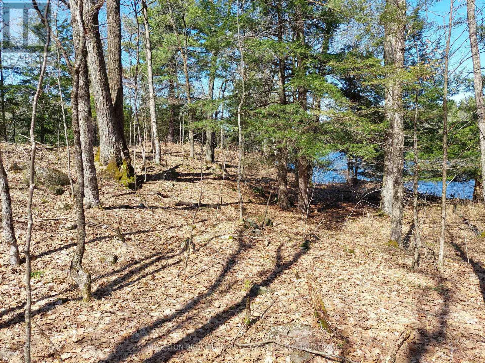 0 Murphy's Island Property Photo 20