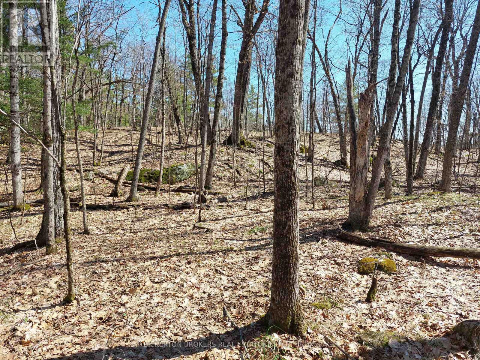 0 Murphy's Island Property Photo 21
