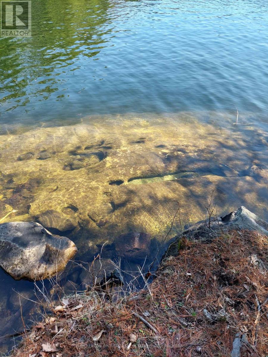 0 Murphy's Island Property Photo 22