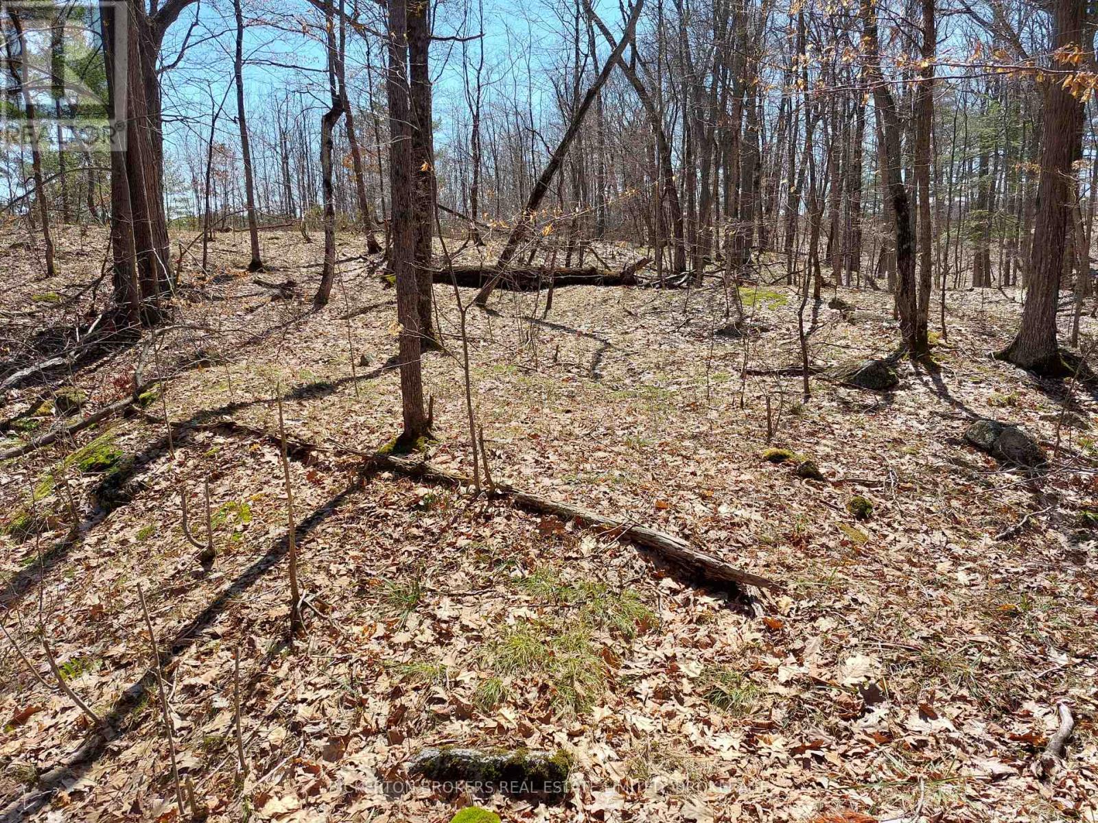 0 Murphy's Island Property Photo 39