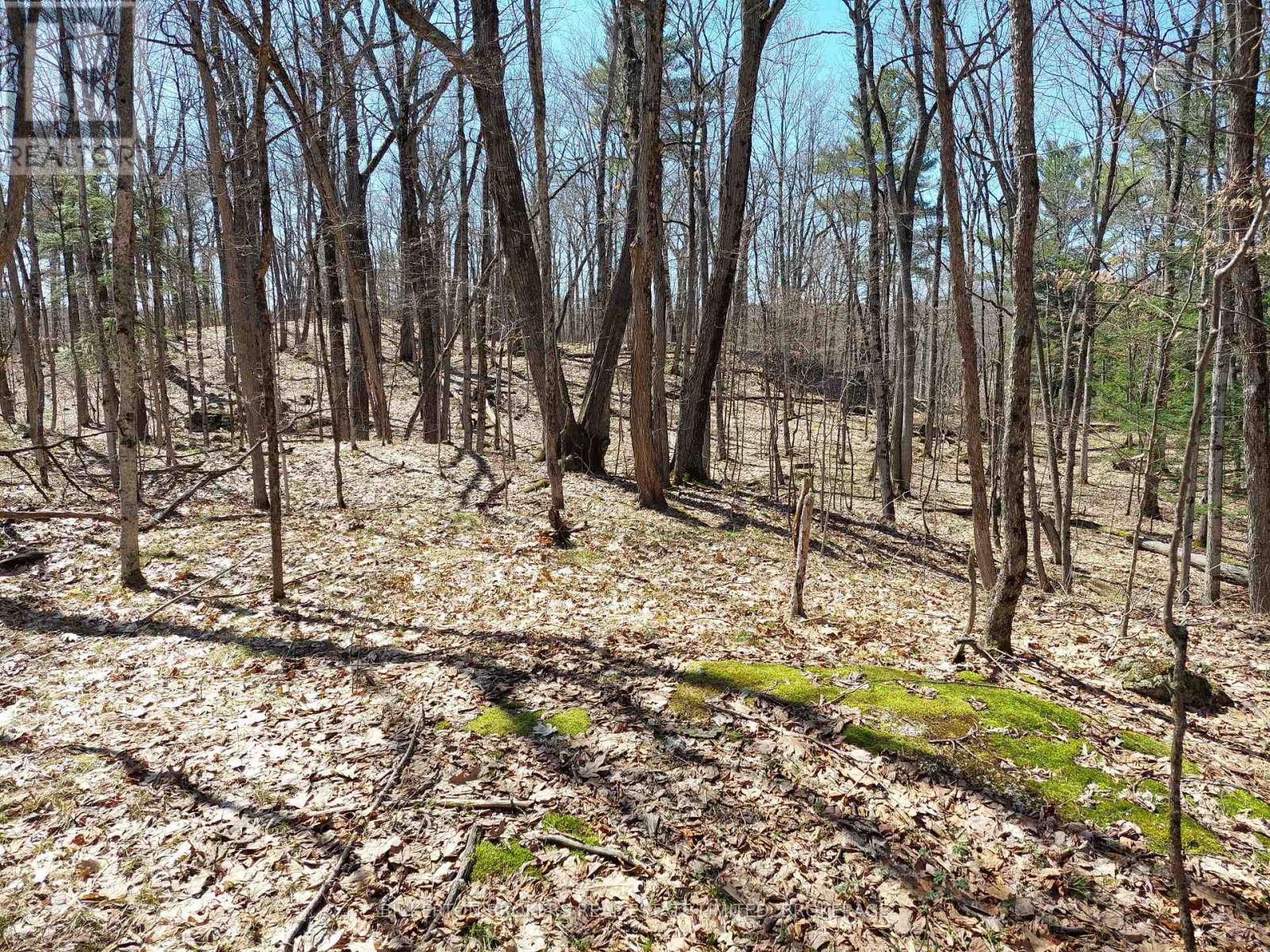 0 Murphy's Island Property Photo 40