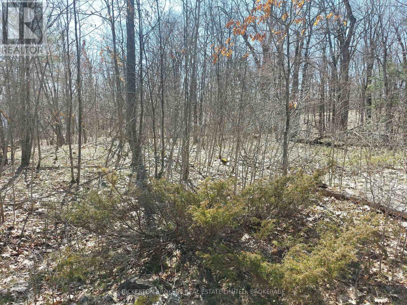 0 Murphy's Island Property Photo 41